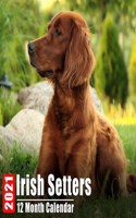 Calendar 2021 Irish Setters