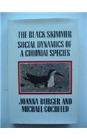 The Black Skimmer