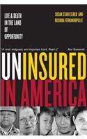 Uninsured in America, Updated