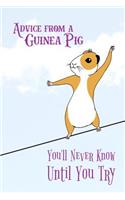 Advice From a Guinea Pig - You'll Never Know Until You Try