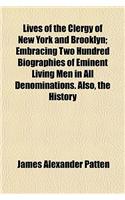 Lives of the Clergy of New York and Brooklyn; Embracing Two Hundred Biographies of Eminent Living Men in All Denominations. Also, the History