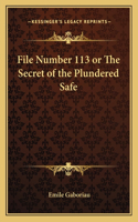 File Number 113 or the Secret of the Plundered Safe