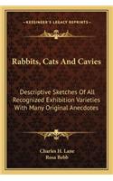Rabbits, Cats and Cavies