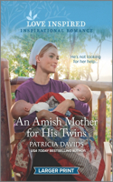 An Amish Mother for His Twins