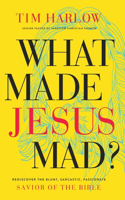 What Made Jesus Mad?