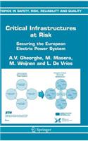 Critical Infrastructures at Risk