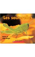 Les Sauterelles: (Lire Et D?couvrir)