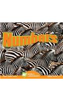 Numbers: (World Languages)