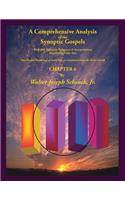 Comprehensive Analysis of the Synoptic Gospels