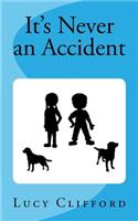 Its Never an Accident