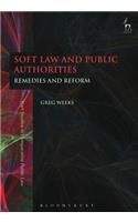 Soft Law and Public Authorities: Remedies and Reform