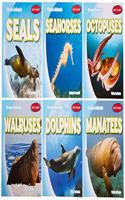 Ocean Animals