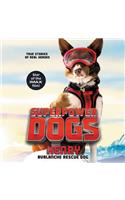 Superpower Dogs: Henry Lib/E