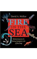 Fire in the Sea
