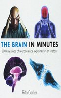 The Brain in Minutes