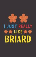 I Just Really Like Briard: Dog Training Logbook For Peoples Who Loves Their Briard Dog