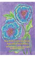 Big Kids Coloring Book