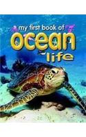 My First Book of Ocean Life