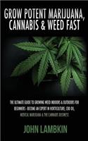 Grow Potent Marijuana, Cannabis & Weed Fast