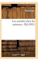 Les Sociétés Chez Les Animaux