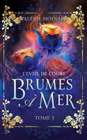 Brumes à Mer, Tome 3