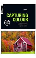 Capturing Colour: (Basics Photography)