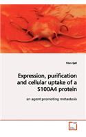 Expression, purification and cellular uptake of a S100A4 protein