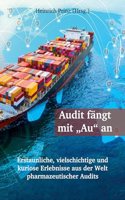 Audit fangt mit 