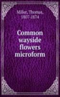 Common wayside flowers microform