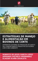 Estratégias de Manejo E Alimentação Em Bovinos de Corte