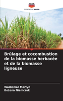 Brûlage et cocombustion de la biomasse herbacée et de la biomasse ligneuse