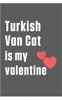 Turkish Van Cat is my valentine