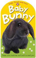 Baby Bunny
