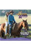 Secret Crush: (Hannah Montana: The Movie)