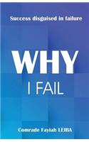 Why I Fail: Success Disguised in Failure