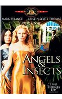 Angels and Insects