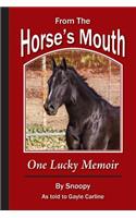 From the Horse's Mouth