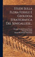 Studii Sulla Flora Fossile E Geologia Stratigrafica Del Senigalliese...