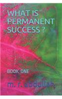What Is Permanent Success ?: Book One