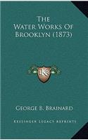 Water Works of Brooklyn (1873)