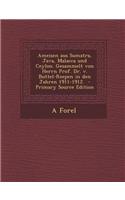 Ameisen Aus Sumatra, Java, Malacca Und Ceylon. Gesammelt Von Herrn Prof. Dr. V. Buttel-Reepen in Den Jahren 1911-1912.