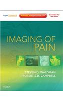 Imaging of Pain