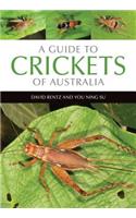 Guide to Crickets of Australia