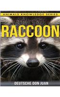 Raccoon