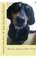 Just Another Hound