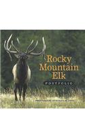 Rocky Mountain Elk Portfolio
