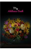 My Address Book: Premium Birthdays & Address Book for Contacts, Addresses, Phone Numbers, Email, Alphabetical Organizer, Large print address book for girlfriend and 