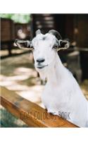 Goat Coloring Book: Goat Gifts for Toddlers, Kids ages 4-8, Girls Ages 8-12 or Adult Relaxation - Cute Stress Relief Animal Birthday Coloring Book Made in USA