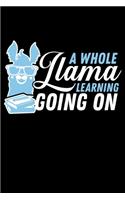 A Whole Llama Learning Going on: A Journal, Notepad, or Diary to write down your thoughts. - 120 Page - 6x9 - College Ruled Journal - Writing Book, Personal Writing Space, Doodle, N