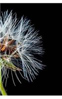 Dandelion Notebook